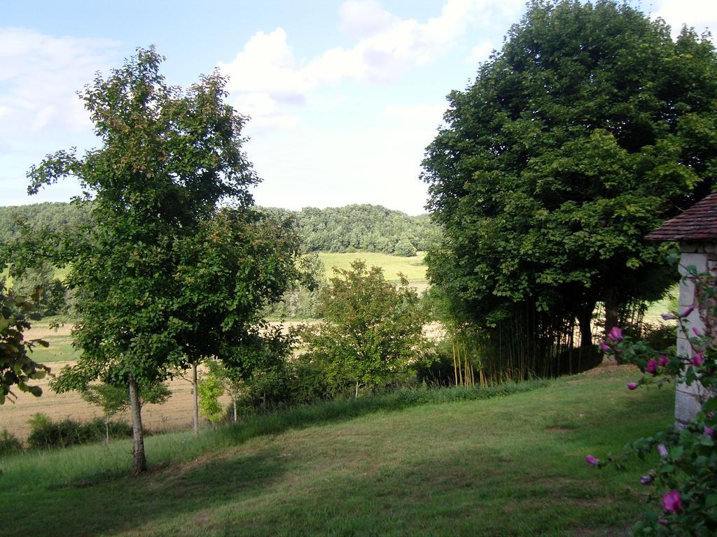 Gite De Serre Le Grand-Pressigny Camera foto